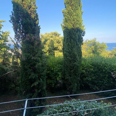 Villa Salyna Ičići エクステリア 写真