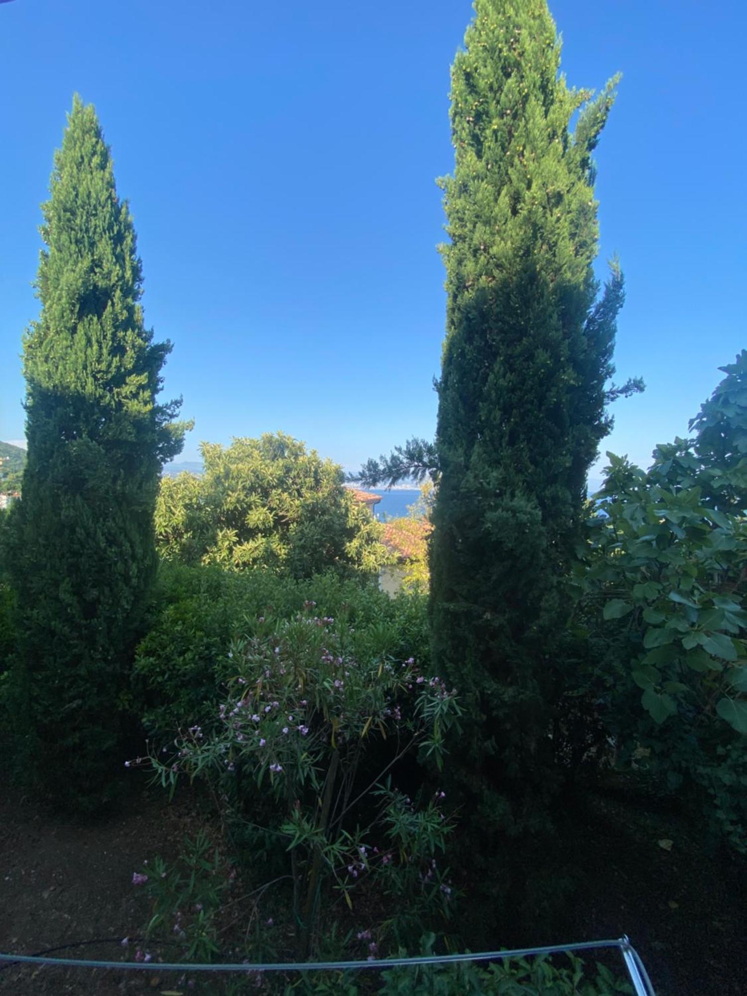 Villa Salyna Ičići エクステリア 写真
