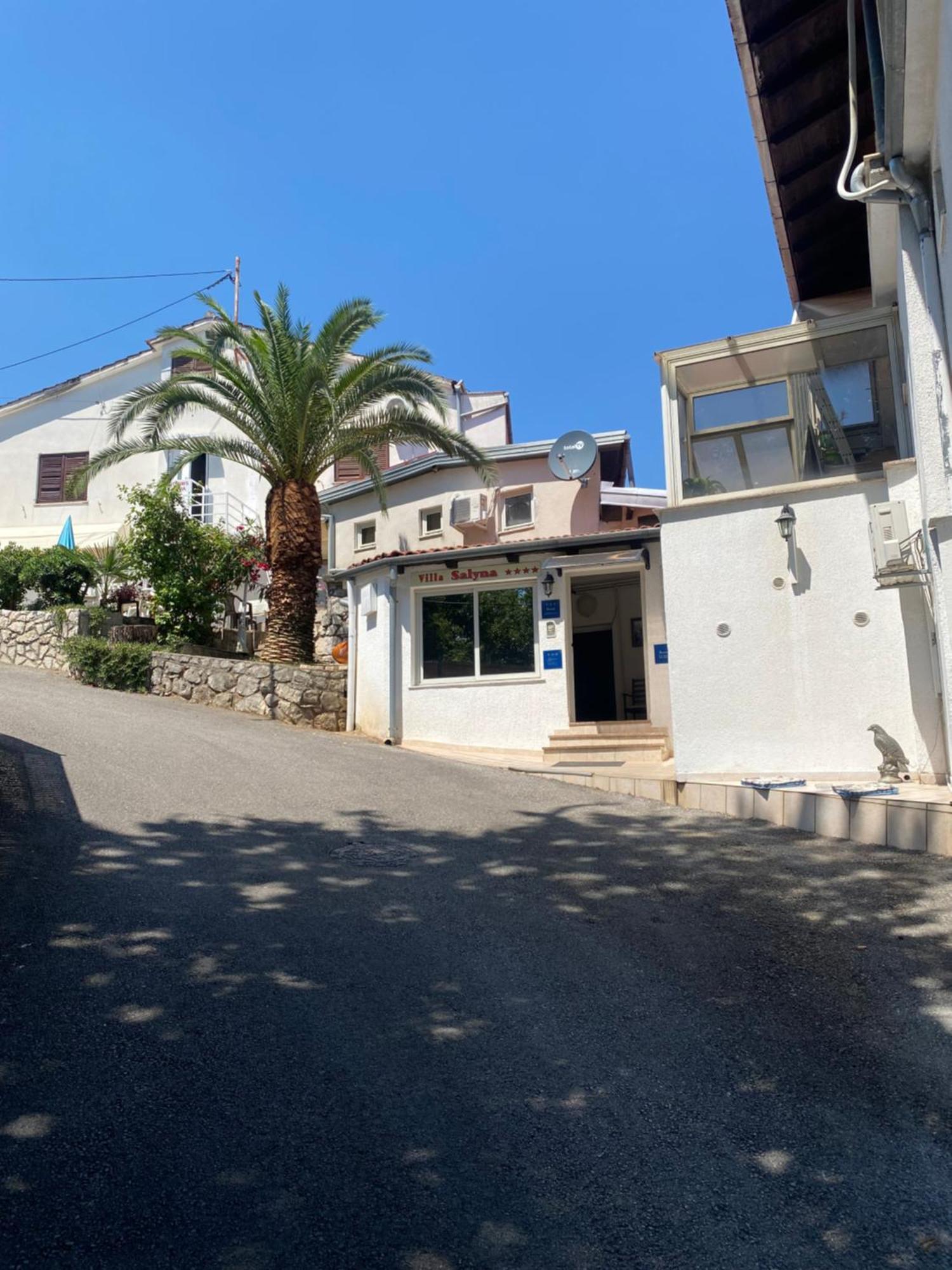 Villa Salyna Ičići エクステリア 写真