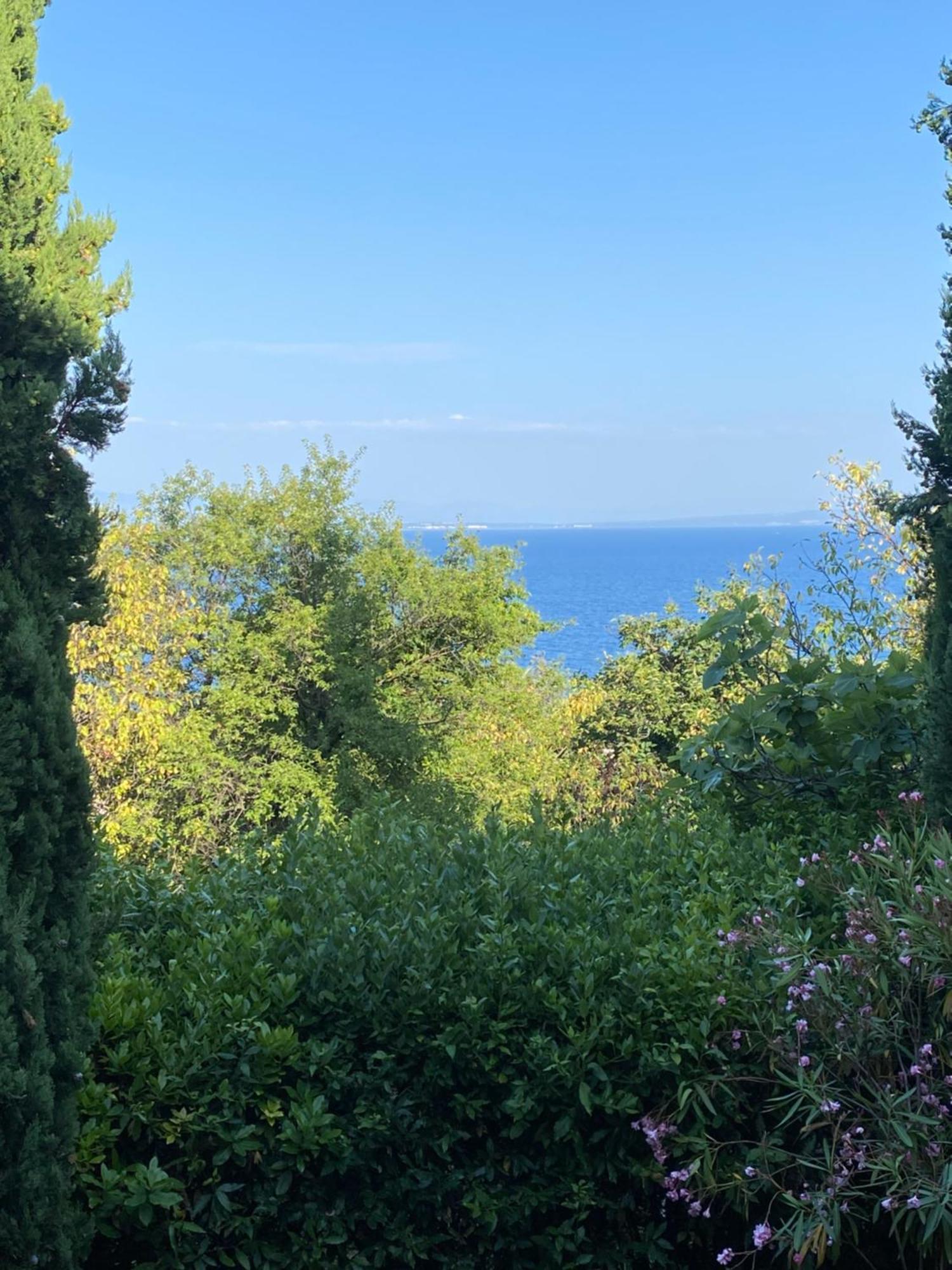Villa Salyna Ičići エクステリア 写真