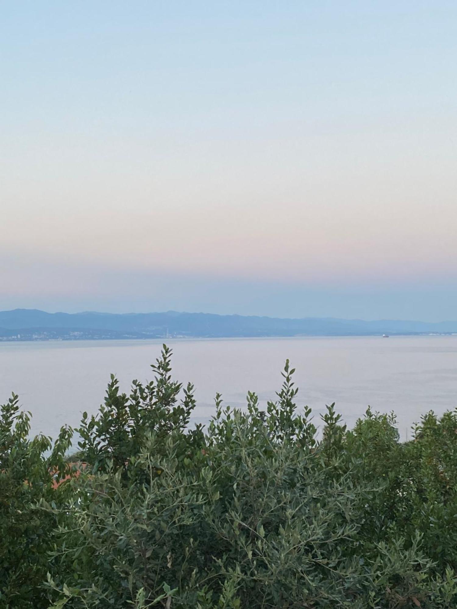 Villa Salyna Ičići エクステリア 写真